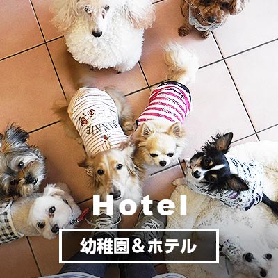 Hotel 幼稚園＆ホテル